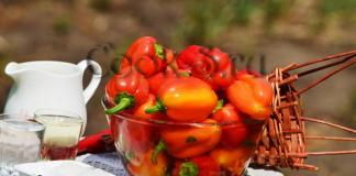 Priprema pržene paprike za zimu: recepti s češnjakom u ulju i marinadi