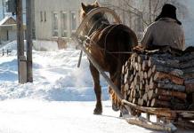 Arklys ir vežimas pagal svajonių knygą Svajonių interpretacija važiuoti vežimu su vyru