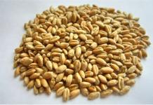 Якість зерна пшениці, хлібопекарські якості та сила борошна