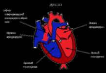 Болест на сърцето: симптоми при възрастни Как да излекуваме прага на сърцето и как
