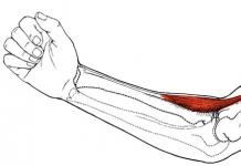 Treatment of pain in the brachioradialis muscle