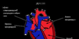 Порок сердца: симптомы у взрослых Как вылечить порог сердца и чем