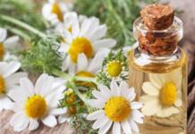Medicinal properties of chamomile