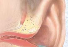 What are the diseases of the human ear, their symptoms and treatment?